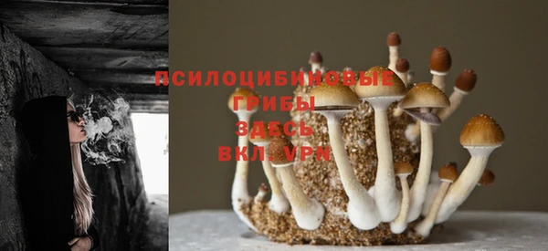мяу мяу мука Волосово